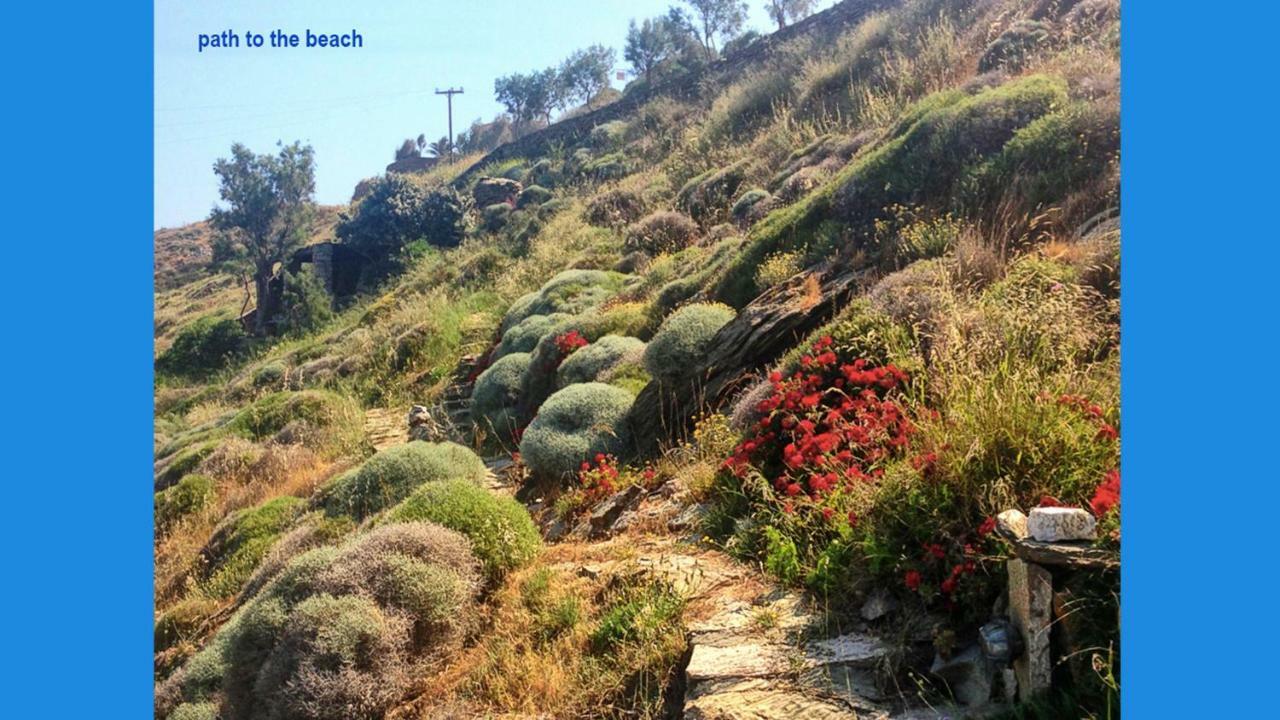 Amelia Beachfront Villa Κορησσία Εξωτερικό φωτογραφία